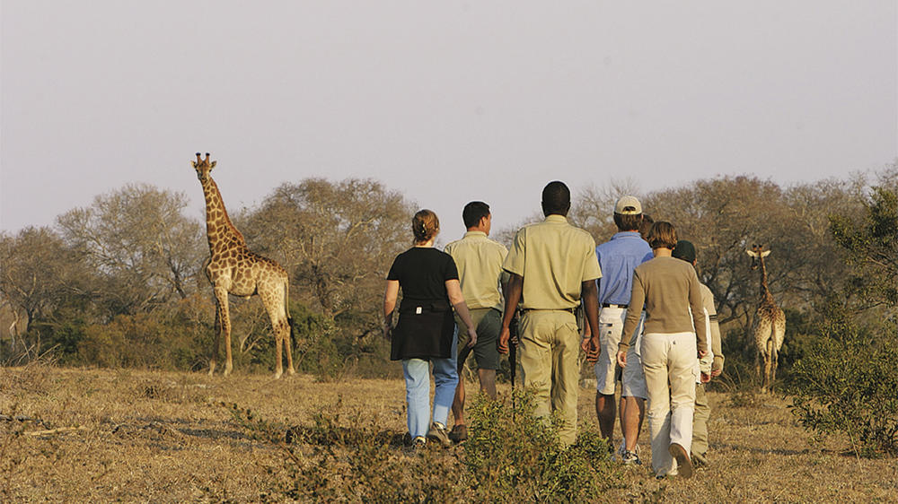 Elephant Plains Game Lodge
